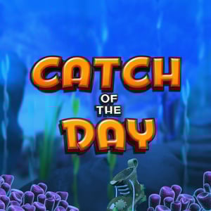 Catch of the Day