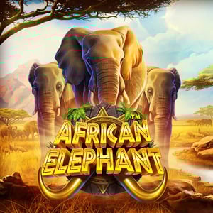 African Elephant