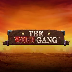 The Wild Gang