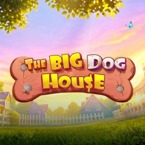 The Big Dog House