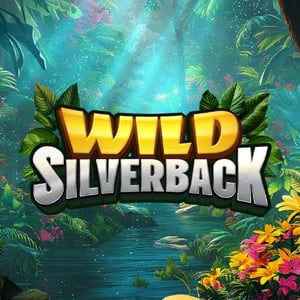 Wild Silverback