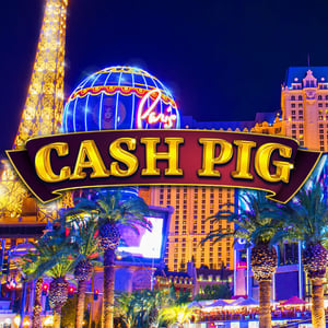 Cash Pig